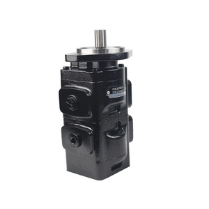 Pompe à engrenages hydraulique 20/918500 7029530002 20/925337 20/92 547 20/912800 JCB 3CX Pompe principale 20/903100 20/902900 Fonte de fer Guangdong - Product Image 1