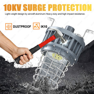 Lámpara LED a Prueba de Explosiones para Áreas Peligrosas Atex Zona 1 Zona 2 de 20W, STOCK en EE. UU. - Product Image 3