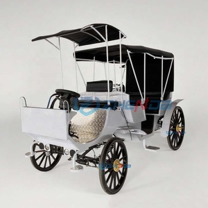 Black Sunshade Electric <b>Double</b>-row Sightseeing Carriage/leisure Sightseeing Carriage Sells Well - Product Image 1