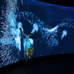 35 thèmes jeux muraux d'intérieur système de <span class=keywords><strong>projection</strong></span> holographique animal Underwater World Interactive Wall/floor <span class=keywords><strong>Projection</strong></span> on Playground - Product Image 5