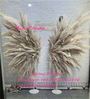 Sayap Malaikat Pampas Yicheng Beauty Harga Murah, Latar Belakang Sayap Pampas, Sayap Bulu Malaikat Inggris Harga Murah Grosir