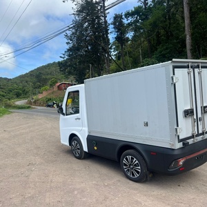Camioneta Eléctrica Nueva, Vehículo de Reparto, Mini Camión con Certificado EEC, Vehículo de 4 Ruedas para Adultos - Product Image 2