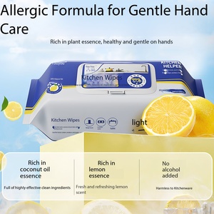 Paños de Cocina Gruesos, 80 Piezas/Bolsa, Ecológicos, Reutilizables, Descontaminantes, Aptos para Mesa, Material No Tejido, Venta al Por Mayor OEM - Product Image 1