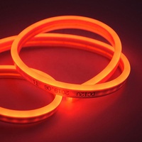 Tube de lampe led néon étanche avec Gel de silice, lampe Flexible, 12V