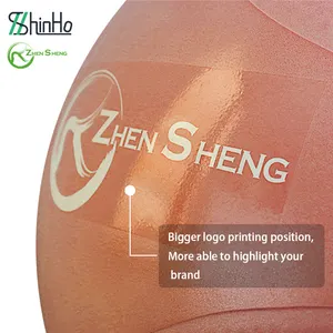 Exercise Ball Zhensheng Exercise Anti Burst Custom Logo PVC Yoga Pilates Ball