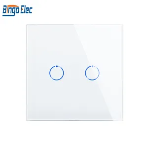 Bingoelec Home Voice Control Wall Switches 2 Gang Light Touch Switch Google Amazon Tuya Smart Switch Wall Socket