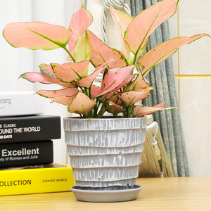 Vaso <span class=keywords><strong>per</strong></span> appartamenti al coperto all'aperto vaso grande <span class=keywords><strong>vasi</strong></span> <span class=keywords><strong>da</strong></span> fiori in plastica all'ingrosso - Product Image 2