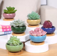 Mini-pots en céramique émaillée en gros pour la maison, idéaux pour les cactus, les succulentes et comme pots à thé effet craquelé