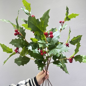 Nouvelle Conception Moderne <span class=keywords><strong>Plante</strong></span> Artificielle Végétale Écologique et Naturelle pour Décoration Intérieure et Extérieure, Richesse Hivernale Verte - Product Image 4