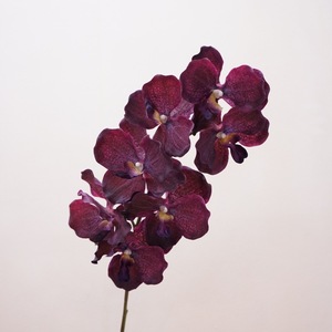 Fleurs d'orchidée <span class=keywords><strong>Vanda</strong></span> papillon haut de gamme, hydratantes, effet toucher réel, pour décoration de salon, mariage et extérieur - Meilleures ventes - Product Image 4