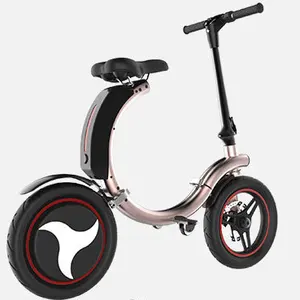 기본적으로 모터 도매 공장 맞춤형 기본적으로 오토바이 접이식 가장 강력한 전기 자전거
