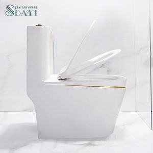 SDAYI奢华西方流行设计浴室陶瓷一体式马桶P陷阱wc金色电镀马桶套装 - Product Image 4