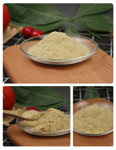 Wholesale Price 100% Organic Mango Flavour <strong>Powder</strong> Freeze Dried Mango <strong>Powder</strong> - Product Image 6