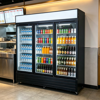 Enfriador Comercial para Bebidas y Cerveza, Control de Temperatura Mecánico, Enfriamiento Directo, Exhibidor de Vino, Congelador para Supermercado