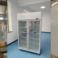 Congélateur vertical à double porte vitrée, refroidissement par air, sans givre, éclairage LED, 1000L, pour café