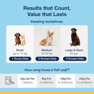 Poudre dentaire naturelle et efficace pour chiens, pour le nettoyage des dents, éliminateur de plaque, solution de soins bucco-dentaires pour animaux de compagnie, additif pour l'eau - Product Image 3