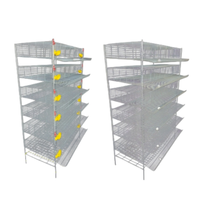 Système de cage à cailles robuste pour une production d'œufs efficace et l'élevage avicole