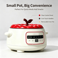 Casserole électrique avec couvercle en verre, chauffage réglable, cuisinière multifonction pour usage domestique et hôtelier