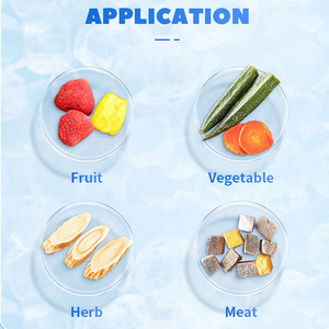 آلة تجفيف بالتجميد الفراغي للأغذية والقهوة سريعة التحضير بتصميم صناعي جديد - Product Image 3