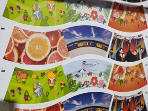 Máy in <span class=keywords><strong>flexo</strong></span> của cốc giấy - Product Image 6