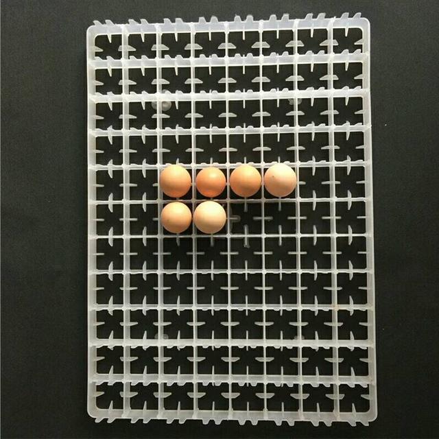 Incubation Equipment Accessories 88 Eggs White