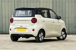 Oferta Especial: Hongguang MINIEV de Alta Gama, Volante a la Izquierda, Económico, Alta Calidad, 5 Puertas, 205 km de Autonomía, Mini Auto - Product Image 4