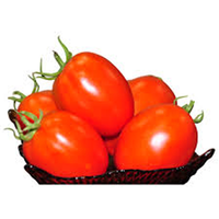 Maanster Hybride Rode Langwerpige Tomatenzaadjes. Plantmateriaal Hoge Opbrengst Variëteit 99,9% Zuiverheid 2 Jaar Houdbaarheid voor Commercieel Gebruik