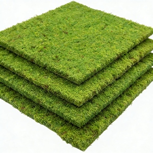 Musgo Preservado Duradero <span class=keywords><strong>en</strong></span> Oferta, Planta de Musgo Artificial, Musgo Natural Real para Decoración del Hogar y la Sala de Estar - Product Image 3