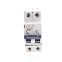 Plc C60hd D2 2a Circuit Breaker 2pole for Warranty Product