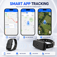 Traceur GPS d'usine pour la gestion des exploitations d'élevage (bovins, ovins, équins) – Collier étanche avec suivi longue portée 10000 mAh