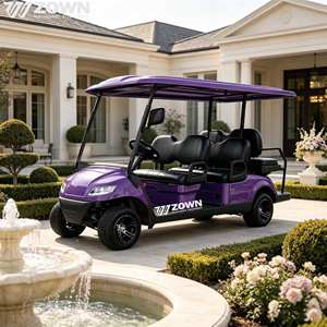 Carrito de golf eléctrico directo de fábrica, buggy de 2, 4 y 6 plazas, configuración personalizada, coche de golf eléctrico para turismo - Product Image 1