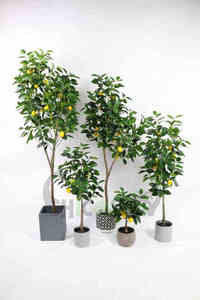 Bonsaï artificiel à personnaliser, 1 pièce, plante pour décoration de Fruit, parafes, Oranges, lunaires - Product Image 6