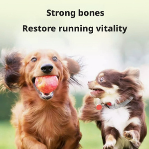 Suplementos Vitamínicos Multifuncionales para <span class=keywords><strong>Perros</strong></span> y Gatos OEM/ODM, Masticables Blandos, Refuerzo Inmunológico, Alto Contenido Proteico, Salud de la Piel y el Pelaje, Marca Privada - Product Image 5