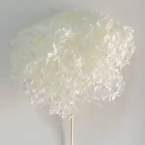 Hortensia preservada para decoración de boda, Hortensia blanca de 20cm, varios colores, gran oferta