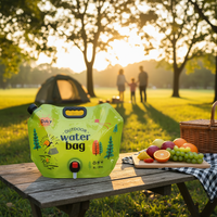 Sac de stockage d'eau pliable 8L 10L 15L, pochette de rangement en plastique, réservoir congélable, bouteille pliable pour le sport et le camping en extérieur