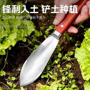 Pelle de jardin à manche en bois, acier inoxydable 430, pour la plantation, le creusement du sol et les travaux de jardinage - Product Image 3