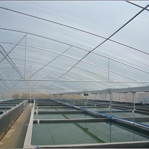 <span class=keywords><strong>Poulailler</strong></span> mobile Hangar à poulets de chair Maison mobile en plastique Verre <span class=keywords><strong>Serre</strong></span> agricole pour l'élevage de volailles et de poulets - Product Image 5