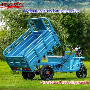 Usine directe <span class=keywords><strong>benne</strong></span> mini camion agricole cargo tricycle scooter vélo 3 roues électrique cargo tricycle - Product Image 3