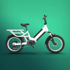 20 بوصة 2022 الصين 20 "خطوة من خلال الدهون الإطارات E-الدراجة دراجة كهربائية 750W