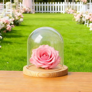 Làm cỏ trang trí bụi bằng chứng Glass Dome chuông Jar cho hoa đồ trang sức kích thước khác nhau Glass Dome cloche với cơ sở bằng gỗ - Product Image 2