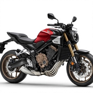 Nouvelle Moto Industrielle de Pointe 2026 C-B75-0S Hor-net pour Terrains Difficiles 2000W+ Vitesse Max >80km/h OEM ODM - Product Image 1