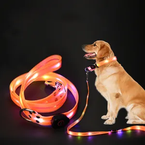 Fournitures pour animaux de compagnie main lumineuse tenant corde Led Flash collier Usb charge chien marche fronde réglable chien harnais en gros DOT 100