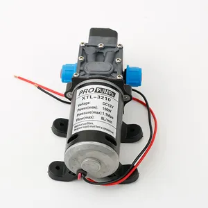 8L DC12V 100วัตต์แปรงปั๊มน้ำไมโครปั๊มไดอะแฟรมไฟฟ้าสำหรับการเกษตรจมูก XTL 3210