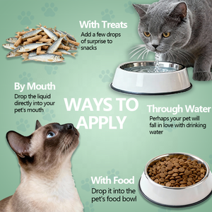 फ़ैक्टरी कुत्ते बिल्लियों केनेल ड्रॉप प्रतिरक्षा प्रणाली पालतू स्वास्थ्य देखभाल पूरक ओम गंध सभी उम्र के पालतू जानवरों के लिए तरल - Product Image 6