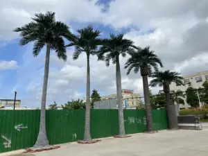 Grand faux arbre Plantes d'extérieur Palmiers dattiers artificiels résistants aux UV Grand faux arbre