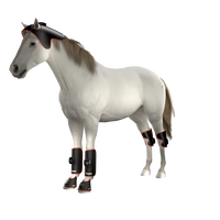 Coussinet articulaire LED pour cheval Thérapie par la lumière infrarouge rouge Soulagement de la douleur Enveloppe pour cheval
