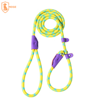 Ensemble de laisse et collier pour chien et chat en nylon durable, tactique, d'entraînement, avec logo personnalisé de luxe, solide, 2 en 1