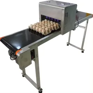 Hoge Snelheid Digitale Printer Voor Eieren Kippenei Drukmachine