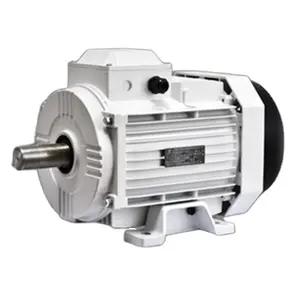 Ac Tiongkok 3Kw 220V ABB Motor Asinkron Tiga Fase