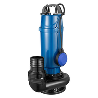 Haute qualité 1hp pompe submersible haute pression vide personnalisable OEM pompes de puits centrifuges pour eaux usées eaux usées DC unique